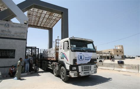 Aid enters Gaza as Rafah border crossing opens